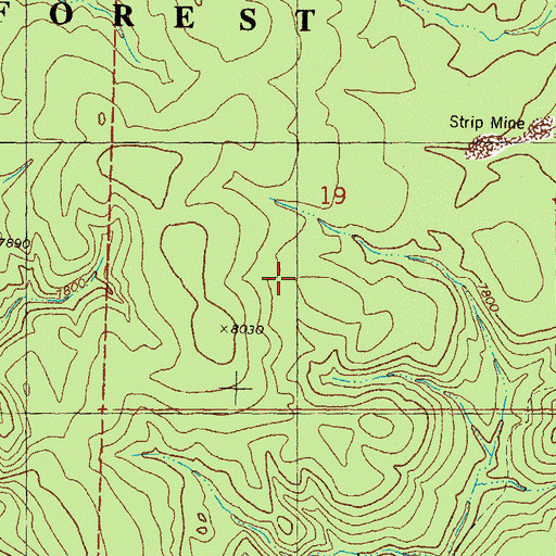 Topographic Map of Scales Creek Claim Group, NM