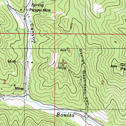 Topographic Map of Martha Washington, NM