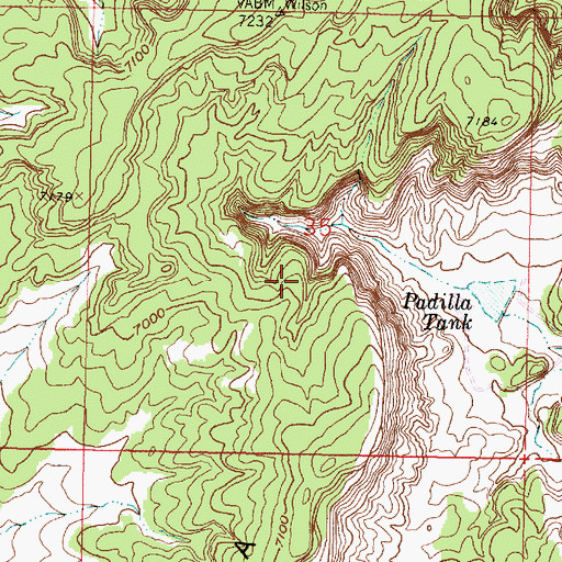 Topographic Map of Casement Prospect, NM