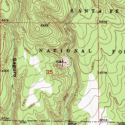 Topographic Map of Pumice Mine, NM