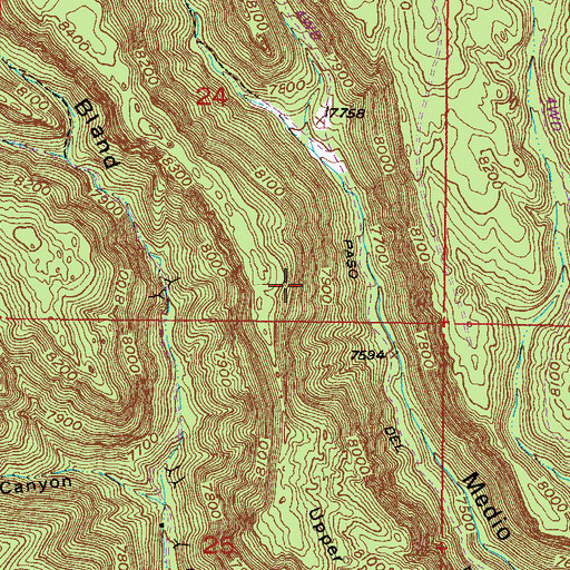Topographic Map of King Tut, NM
