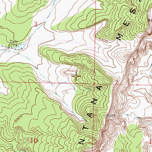 Topographic Map of Coal Prospect, NM