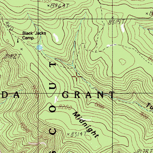 Topographic Map of Black Jacks Hideout, NM