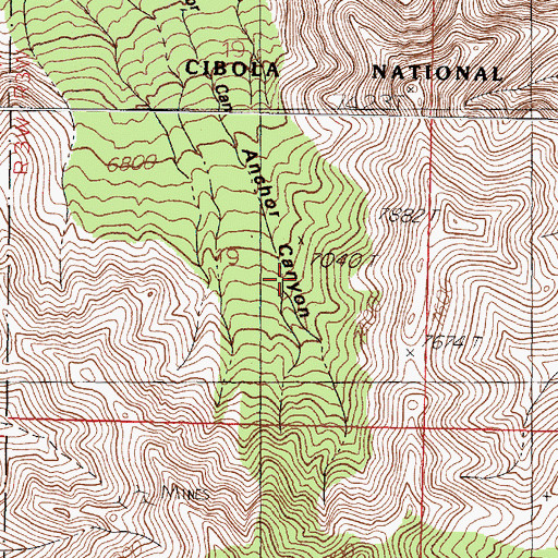 Topographic Map of Anchor, NM