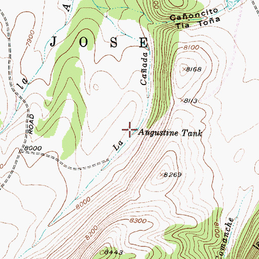 Topographic Map of Augustine Tank, NM
