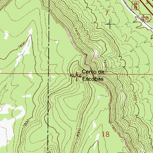 Topographic Map of Cerro de Escobas, NM