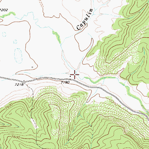 Topographic Map of La Cebolla Valley, NM