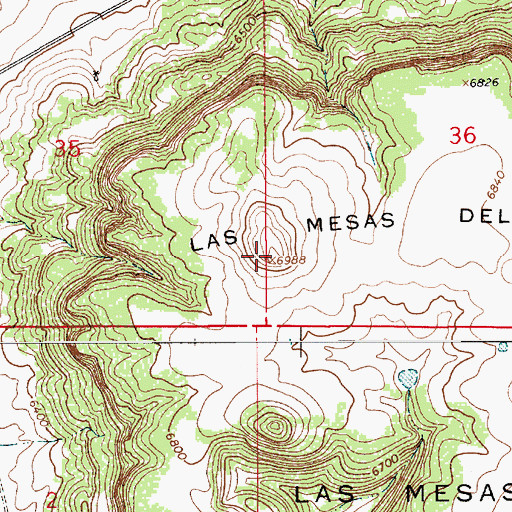Topographic Map of Las Mesas Del Conjelon, NM