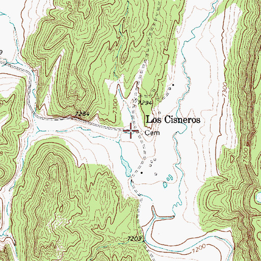 Topographic Map of Los Cisneros, NM