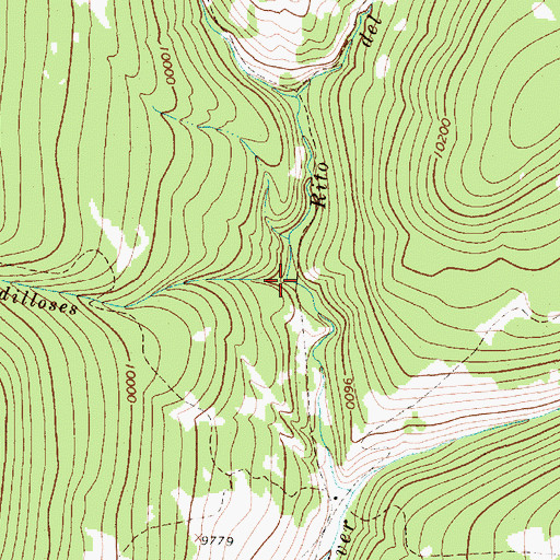 Topographic Map of Rito Sebadilloses, NM