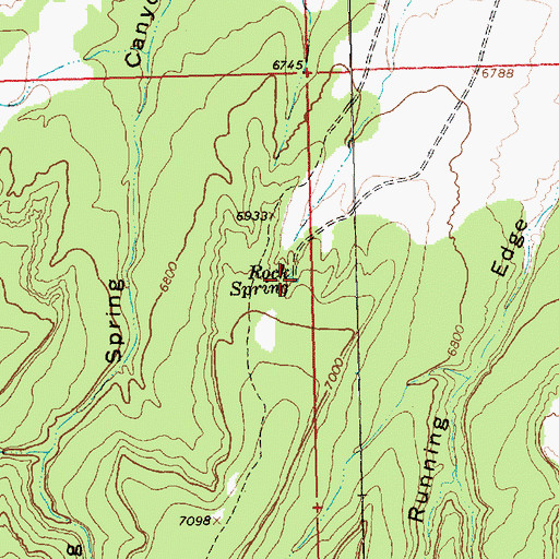 Topographic Map of Rock Spring, NM