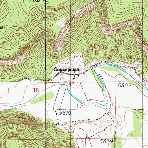 Topographic Map of Concepcion, NM