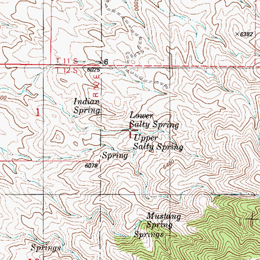 Topographic Map of Upper Salty Spring, NM