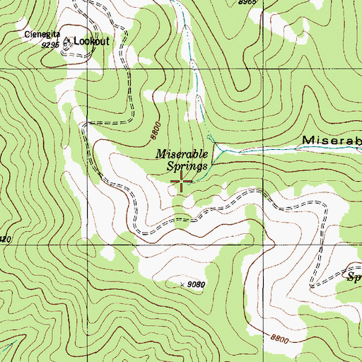 Topographic Map of Miserable Springs, NM