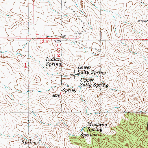 Topographic Map of Lower Salty Spring, NM