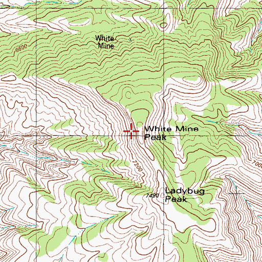 Topographic Map of White Mine Peak, NM