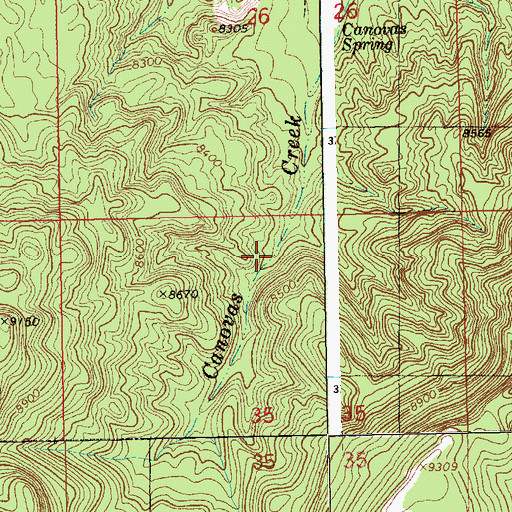 Topographic Map of Canovas Spring, NM