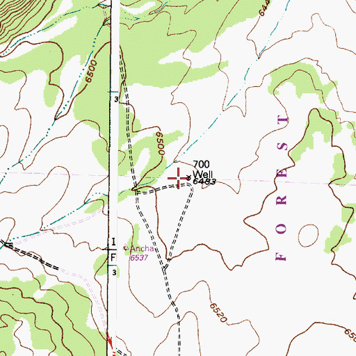 Topographic Map of 700 Well, NM