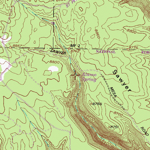 Topographic Map of Alamo Spring, NM