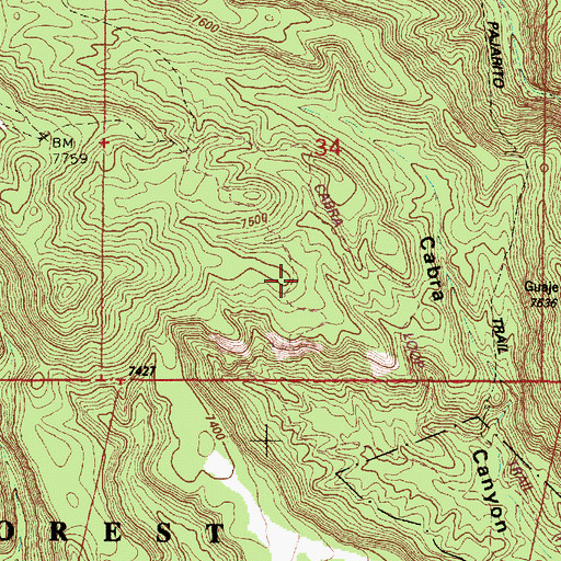 Topographic Map of Cabra Loop Trail, NM