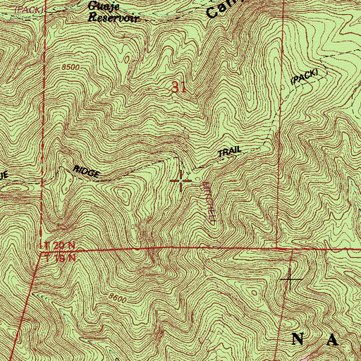 Topographic Map of Mitchell Trail, NM