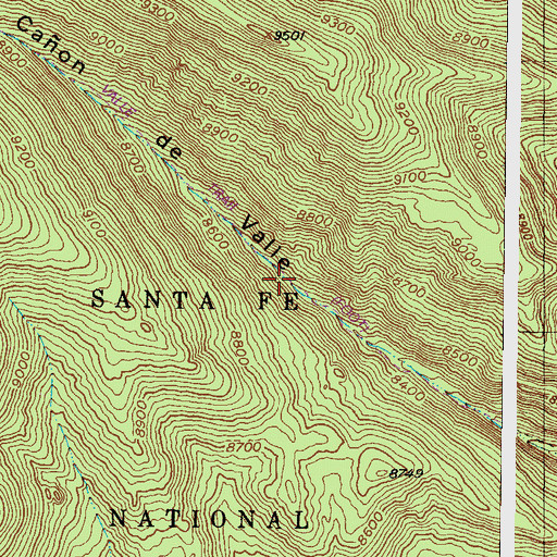 Topographic Map of Valle Trail, NM