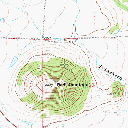 Topographic Map of Red Mountain, NM