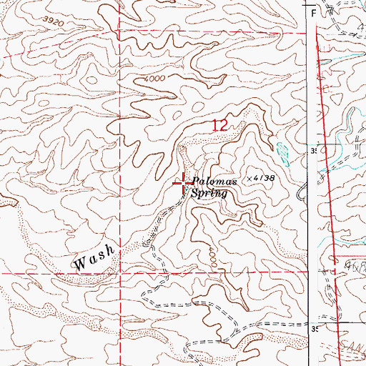 Topographic Map of Palomas Spring, AZ