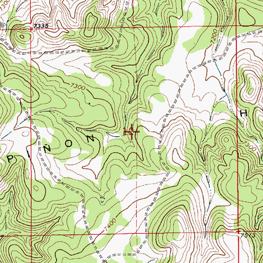 Topographic Map of Loughlin Peak, NM