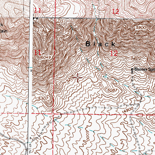 Topographic Map of Bighorn Prospect, NM