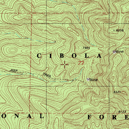 Topographic Map of Rare Metals, NM