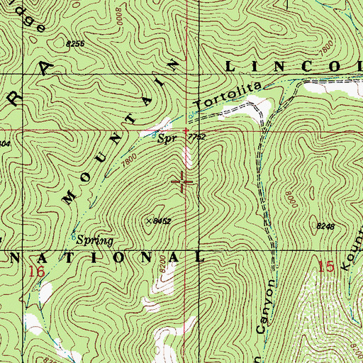 Topographic Map of Richardson Claims, NM