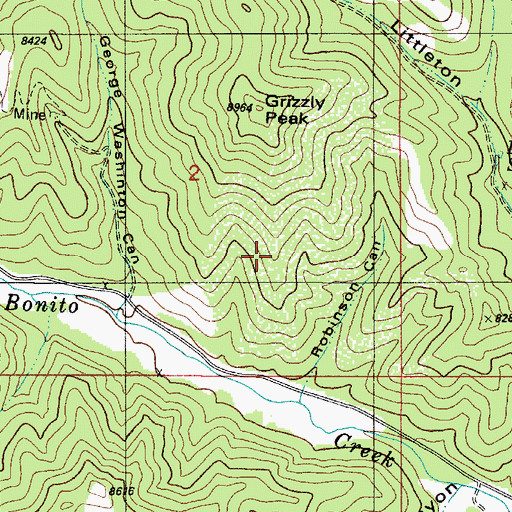 Topographic Map of Washington, NM