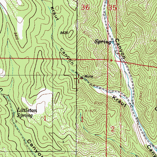Topographic Map of Water Dog Prospect, NM