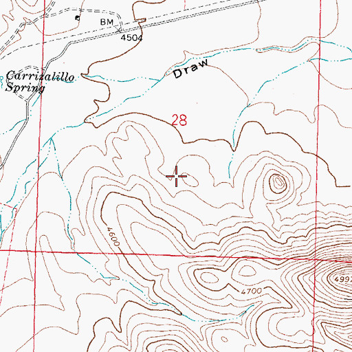 Topographic Map of Johnson Ranchhouse Section Twenty Eight Prospect, NM