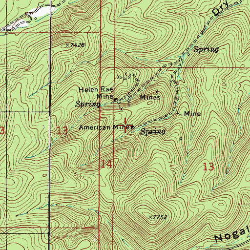 Topographic Map of American, NM