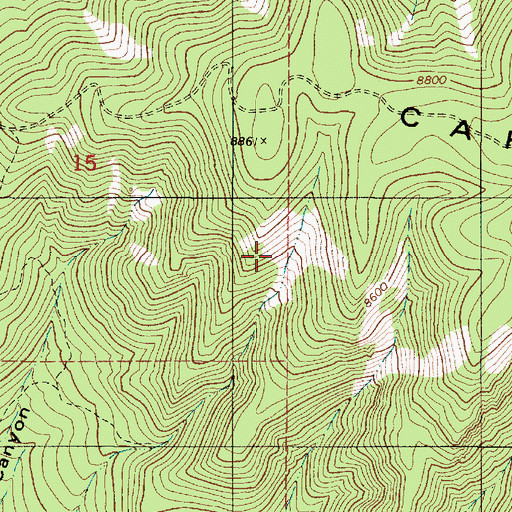 Topographic Map of Barry Prospect, NM