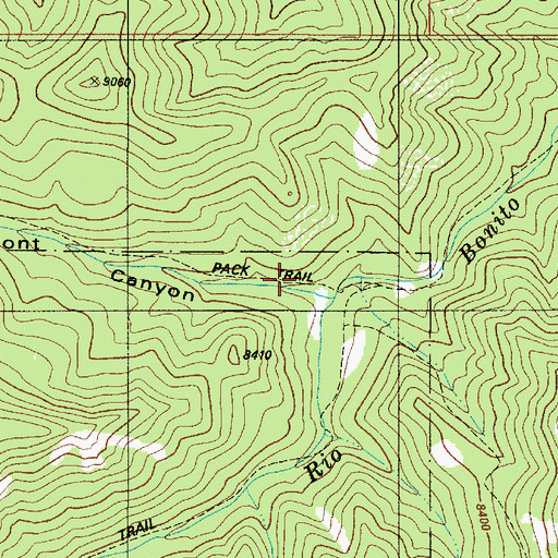 Topographic Map of Blue Front Mine, NM