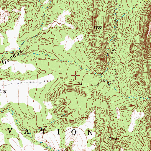 Topographic Map of De Dos Gordos Prospect, NM