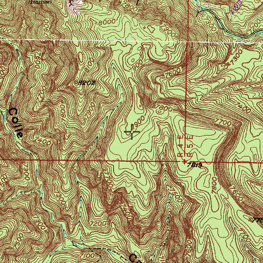 Topographic Map of Corner Lode, NM