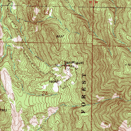 Topographic Map of San Miguel Group, NM