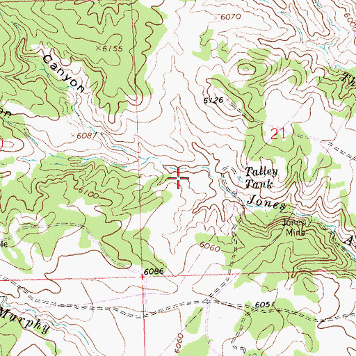 Topographic Map of Enterprise Mine, NM