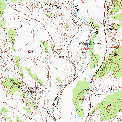 Topographic Map of Bill Thomas Mine, NM