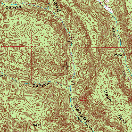 Topographic Map of Tip Top Lode, NM