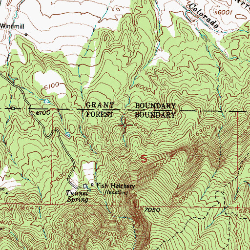 Topographic Map of Victo-Rovo-Novo-Group, NM