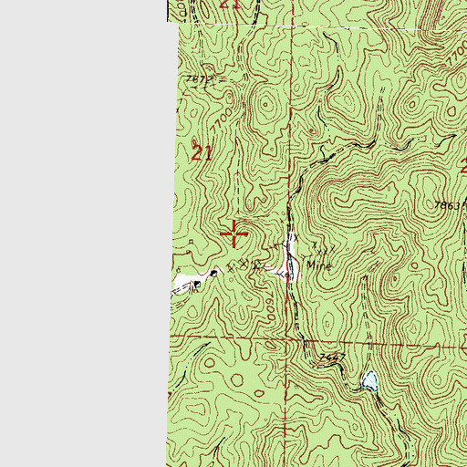 Topographic Map of Twenty One Mine, NM
