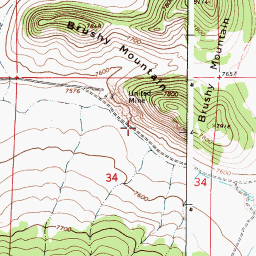 Topographic Map of Mickelsen Prospect, NM