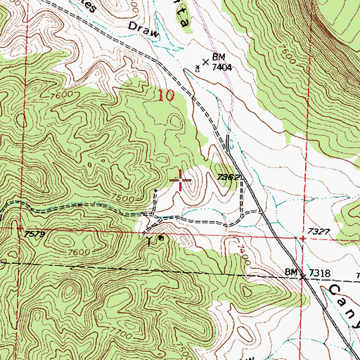 Topographic Map of Irene Number Two Mine, NM