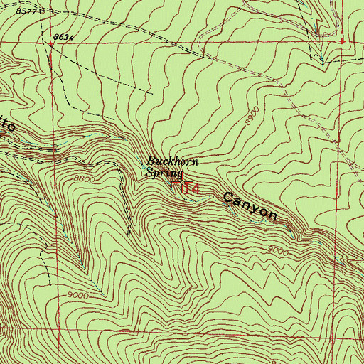 Topographic Map of WX Lobo Pit, NM