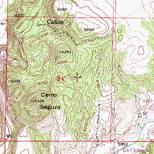 Topographic Map of La Cienega, NM